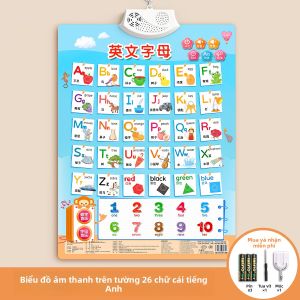 STARRY ARK | Bảng Từ Vựng Tiếng Anh Có Phát Âm và Phiên Âm cho Trẻ Em