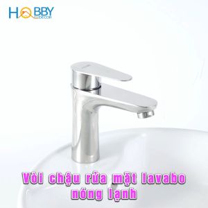 Vòi chậu rửa mặt lavabo nóng lạnh inox 304 bóng Hobby home decor VRM9