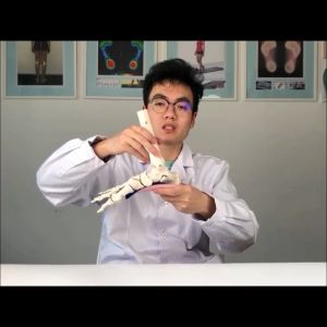 3/4 High Arch Supports Shoe Insoles Orthotics Shoe Insole for Plantar Fasciitis Flat Feet Over-Pronation Heel Cushion Relief Heel Spur Pain