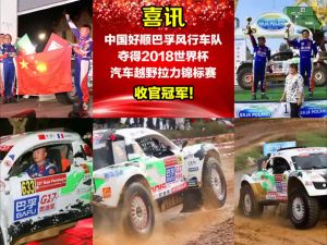 [SG Stock] Bafu Petrol Additive | Remove Engine Carbon Deposit | Save Fuel | Fuel Injector Cleaner | Boost Performance