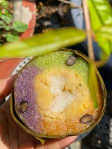 Bánh tét đậu mỡ 3 màu 800g -900g. Bánh hút chân không