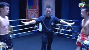 USB Flash Drive HK Drama 武打港剧 3 in 1 铁马寻桥 + 拳王 + 女拳 经典港剧 广东话