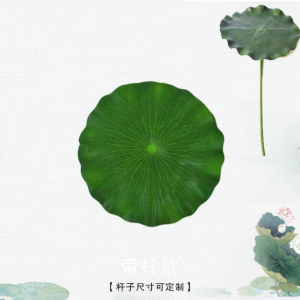 XIAOYAOSHAN | Classical Dance Performance Props Lotus and Fish