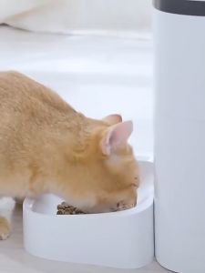 Smart Pets BiteQ intelligent automatic feeding machine