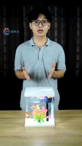 Bể cá mini trong suốt có nắp trọn bộ đèn máng lọc máy lọc sủi oxy cho cá cảnh bể nhựa đúc siêu trong chống vỡ để bàn thuỷ sinh