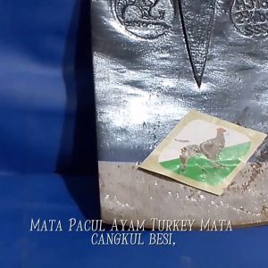 Mata cangkul Buaya pacul