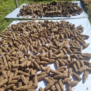 1 Kg Nụ Trầm Hương Khoản 500 Nụ - Dùng Xông Đót Tẩy Uế Thờ Cúng Thưởng Trầm Hàng Tự Nhiên 100% Không Hóa Chất Gía Tận Xưởng đót đươc cho thác và lư