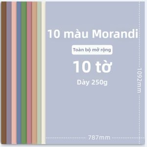 ZHIDAREN | Giấy Nghệ Thuật Màu Dày Chắc Chắn Toàn Kích 250g