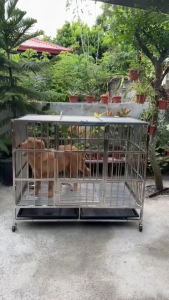 Large Stainless Steel Dog Cage With Tray Wheel Suitable For Dogs Foldable Dog Crate Thicken Cage