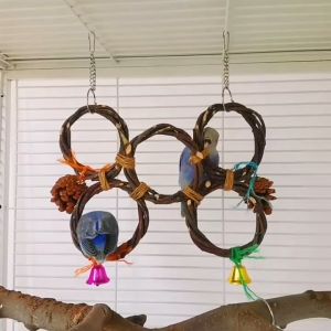 🇸🇬 Parrot Hanging Applewood Branch Swing Bird Swing Climbing Chewing Hanging Cage Toys