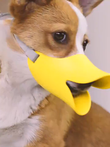 【พร้อมส่ง】ซิลิโคนครอบปากสุนัข ลายปากเป็ด ป้องกันการกัด ที่ครอบปากสุนัข รูปปากเป็ด Duckbill กันเลีย กันเห่า กันกัด