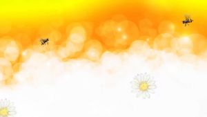 น้ำผึ้งดอกไม้ป่า 500 กรัม