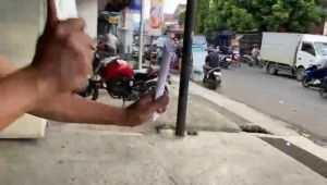 Golok Sembelih Premium Baja HSS Full Kayu Sonokeling