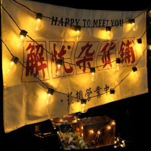 BEAUTY IN THE LIGHT | Outdoor Waterproof Solar Color String Lights