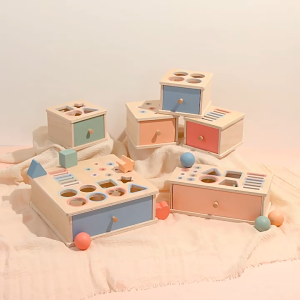Hộp Đồ Chơi Thả Khối Gỗ Montessori Đa Năng Đồ Chơi Giáo Dục Sớm Hình Khối Màu Sắc Cho Bé 1-3 Tuổi