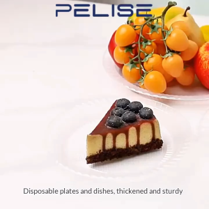 Pelise Sanitary 10pcs Plate Microwavable Plastic 9 Inches Plate PP Plastic Round Plate
