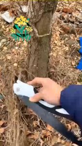 Gergaji Lipat Kayu Portable: Panduan Lengkap