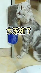 [HAKO PETSHOP] L SIZE Sisir Kucing Sisir Gosok Badan Gatal Kucing Perlengkapan Kucing Catnip/Garukan Kucing/Sisir Siku