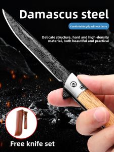 QIANYING | Dao Trái Cây Ngoài Trời Cứng Cáp Đa Năng
