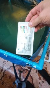 แผ่นทดสอบคุณภาพน้ำในตู้ปลา – 9 ค่าตรวจวัดในแผ่นเดียว