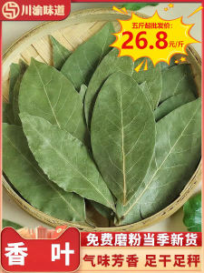 Large Leaf Guangxi Fragrant Spice 500g Pack Remove Fishy Flavor Enhance Taste Increase Fragrance Cooking Seasoning Ingredient