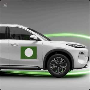 PAS car magnet 30cm x 45cm size. Promo Buy 2 FREE 1.