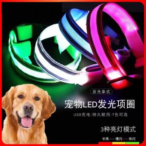 Glowing Adjustable Size Medium Large Dog Neck Collar Rechargeable Anti Bite Reflective Pet Supplies Night Safety Leash
