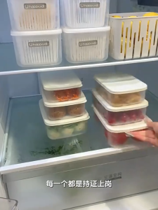 【Local Stock】Preservation Box Plastic Lunchbox Airtight Cover Microwavable Storage Fresh Fruits Vegetables Meat Fish Storage Boxes PhIeo