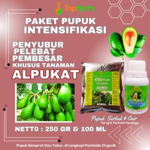 Pupuk Khusus Alpukat: Solusi Optimal Pertumbuhan Tanaman