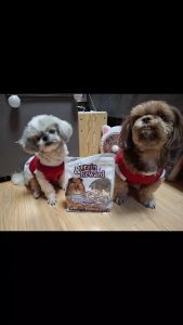 350g Train and Rewards Reward Dog Biscuit Dog Treat Dog Food All Stages Adult Puppy