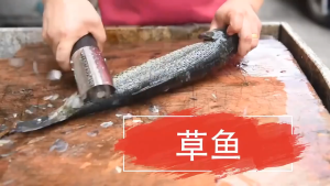 Pembersih Sisik Ikan Elektrik Fish Scale Remover Peeler Penyisik Ikan Otomatis