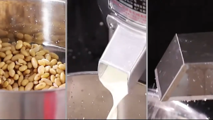 Soya Grinder Soya Beans Extractor and Separator Maker Heavy Duty Material