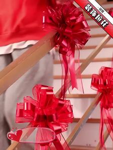 Set 10 [WEDDING] Nơ Ruy Băng Tú Cầu Viền Voan Cao Cấp Size Đại 5.5*150 Trang Trí Giỏ Quà Xe Hoa Đám Cưới Lễ Tết-ALLIN