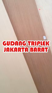 TRIPLEK MEGA WHITE OAK KEMBANG/LURUS PLYWOOD FANCY WOOD TERMURAH