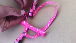 harness kucing warna-warni bermotif bentuk Y tali hewan peliharaan murah aksesoris hewan