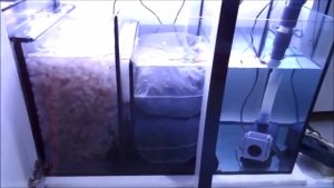 🔥READY STOCK 🔥1KG K1 Bio Media Bacteria House Filter Media 6 holes MBBR Premium Quality ɸ10x10mm