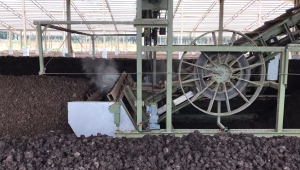 Organic Fermented Chicken Manure Fertilizer | Processed Chicken Manure | Suitable for Fruits & Vegetables | Higher Yield & Improved Soil Fertility