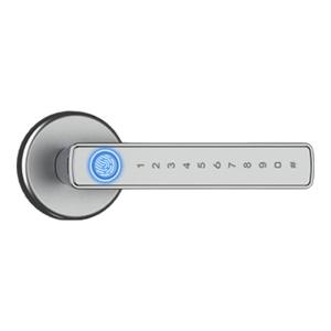 FALEISTON | Fingerprint and Password Smart Door Lock Home Office Wood Door