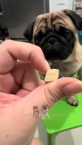 Luscious Organic Pet Treats Freeze Dried Pure Meat Food Topper Appetite Booster Dog Treats Cat Treats Dog Appetite Booster