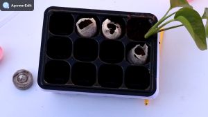 Seedling block compressed nutrient soil flower cuttings vegetable seed seed cultivation box general organic medium substrate block plate