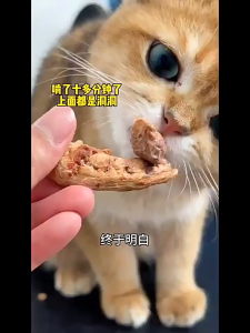 Freeze-Dried Chicken Neck Duck NeckSnacks Cat Teething Stick and KittenDog Special Teeth Cleaning Weight Gain Meat Jerky