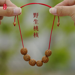 Wild Plum Seed Charm for Babies Children Protection against Evil Spirits When Going out Handmade Woodwork Fashion Jewelry