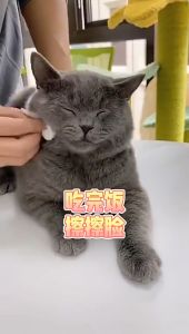 MEOW 80pcs Pet Wipes Hygiene For Cats Dogs Eye Wet Tissues Cat Dog Tear Stain Remover Basah Pembersih Mata Telinga