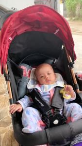 Panduan Lengkap: Kereta Bayi Dorongan & Kereta Bayi untuk Anak