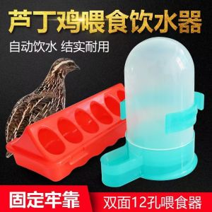 Breeding Feed Barrel Feeding Chicken Rutin Chicken Special Trough Food Basin Pigeon Drinking Water Drink Fountain Quail Parrot