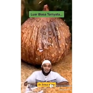 Elanova Black Garlic Tunggal Bawang Hitam Lanang 500gram