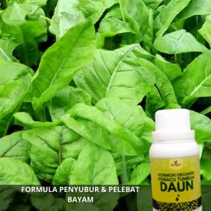 Pupuk Penyubur Tanaman Bayam: Manfaat & Cara Penggunaan