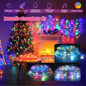 Xmas Birthday Holiday USB APP Control LED Curtain Garland Fairy String Lights for Bedroom Tree Party Home Decor