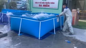 Bể Bơi Khung Kim Loại Bestpool BP50012 KT 1.25m x 2m05 x 0.66m- Không Cần Bơm Hơi Lắp Ghép Nhanh Chóng