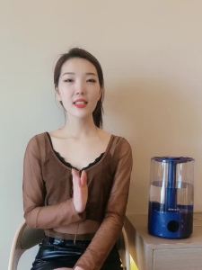 Humidifier Portable Mini Humidifier Portable Humidifier For Bedroom Air Humidifier For Room Can Add Aromatpy to Purify Air Inligence 加湿器